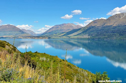 佛滔解梦网官网 佛滔周公解梦大全查询