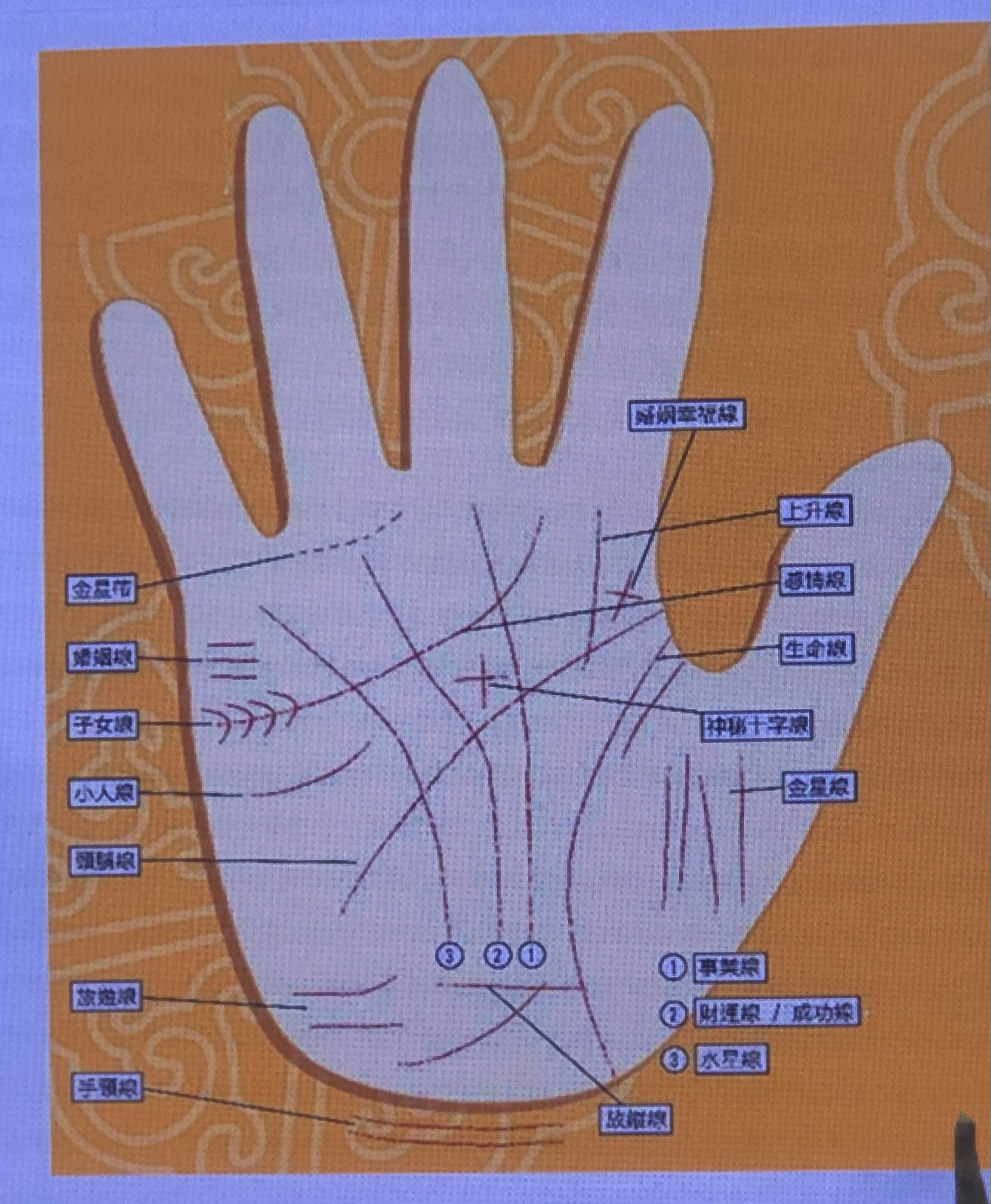 微信免费算命看手相 加微信看手相的是诈骗吗