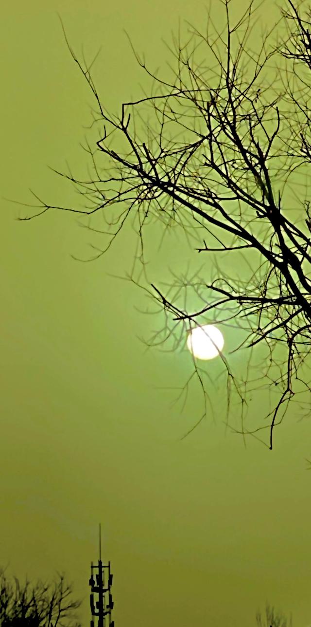 周公解梦沙尘暴 周公解梦梦见沙尘暴是什么征兆