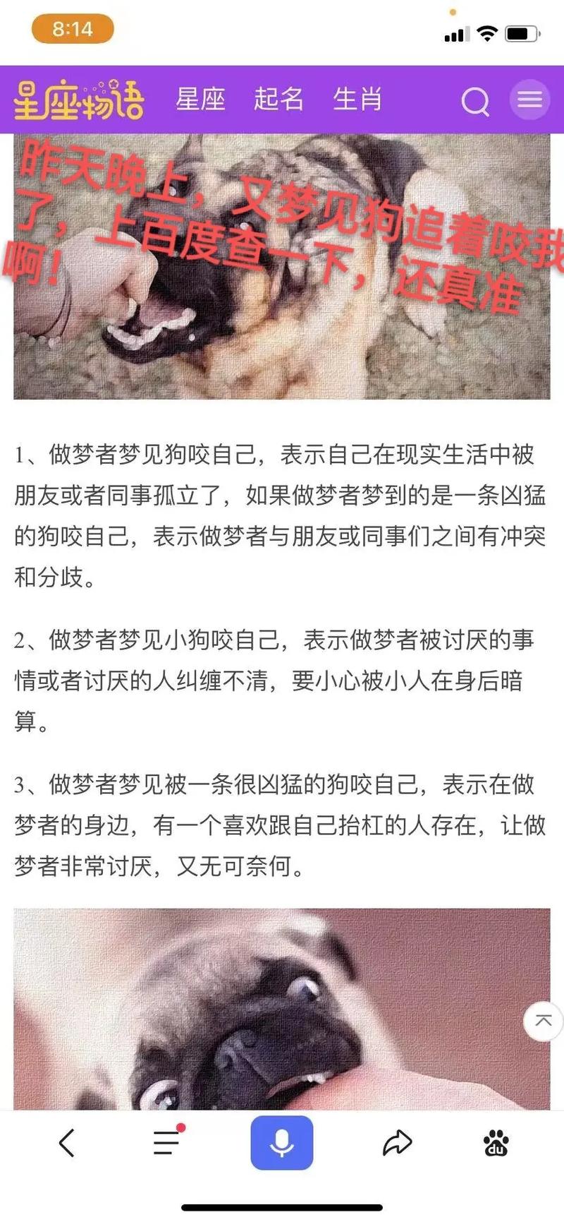 周公解梦被小狗咬手 梦见狗咬到手的七大预兆