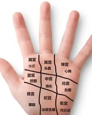 一掌经算命免费 达摩一掌经免费排盘