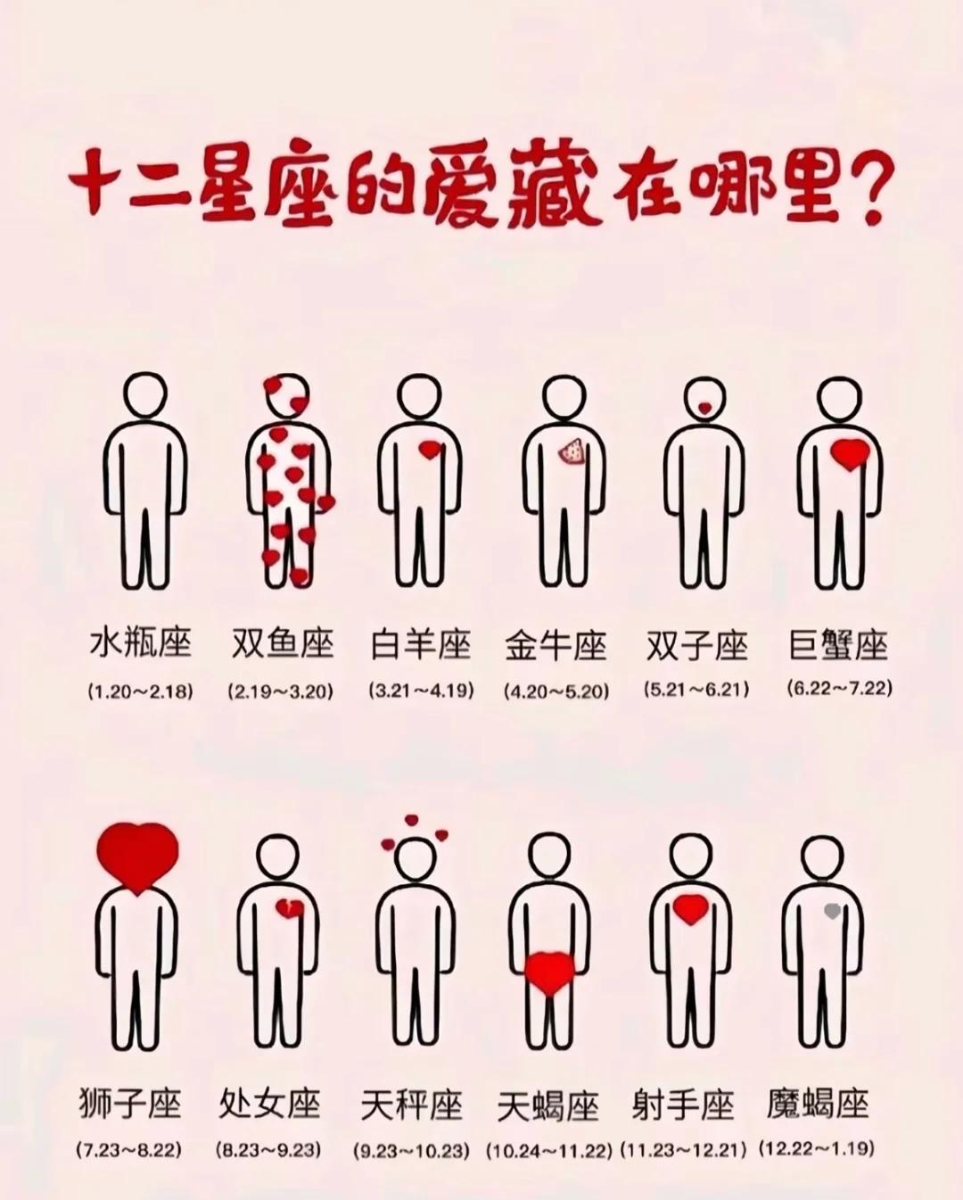 11.24是啥星座 1124出生是什么星座