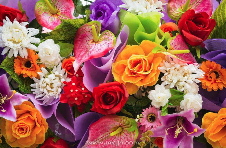 周公解梦鲜花盛开 2345原版周公解梦完整版