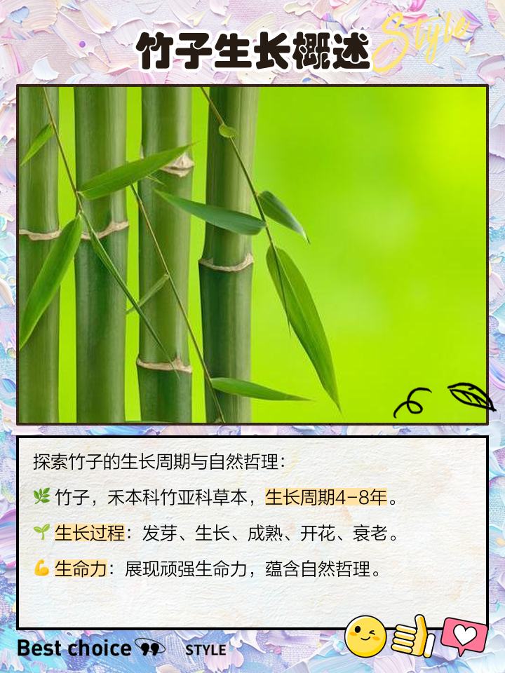 周公解梦竹子 大门正对着竹子是吉是凶