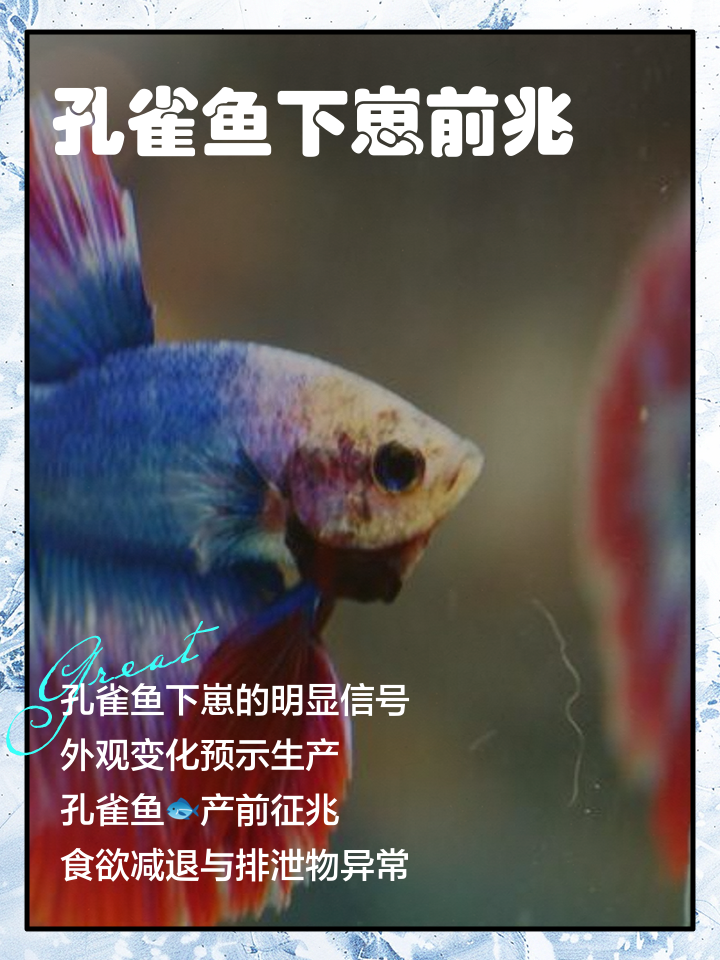 周公解梦被鱼咬 梦见自己被鱼咬甩不掉