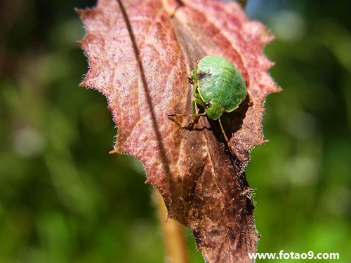 周公解梦老同学 周公解梦老公出轨