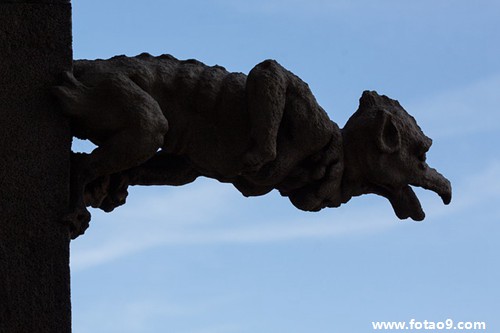 周公解梦黑人 中年女人梦到黑人 周公解梦黑人 中年女人梦到黑人