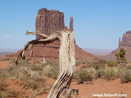 周公解梦沸滔网 佛滔免费算命网解梦