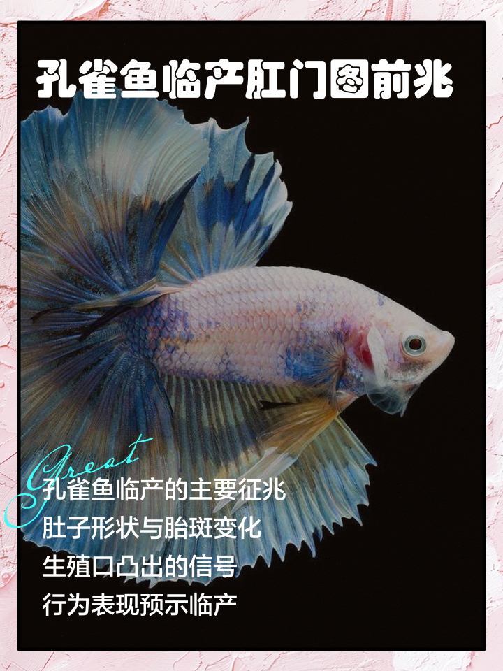 周公解梦鱼 周公解梦梦见鱼好多鱼