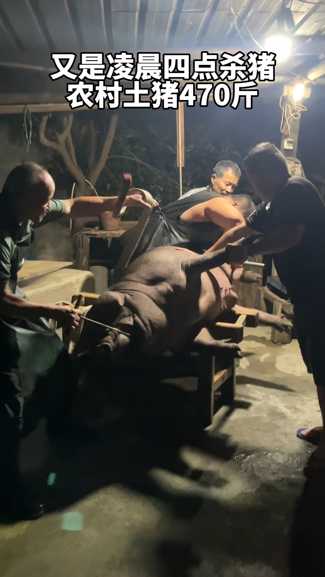 周公解梦梦杀猪 梦见杀猪是什么预兆