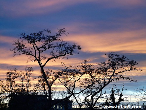 佛滔算命网周公解梦 解梦大师在线一对一咨询