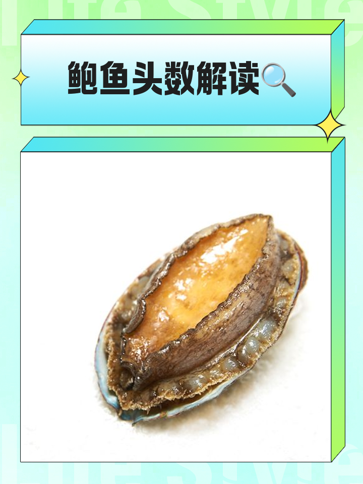 周公解梦鲍鱼 梦见鲍鱼是不是胎梦