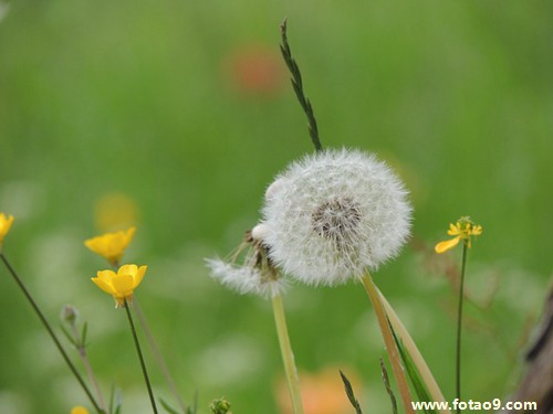 包含周公解梦梦见大全周公解梦的词条 包含周公解梦梦见大全周公解梦的词条