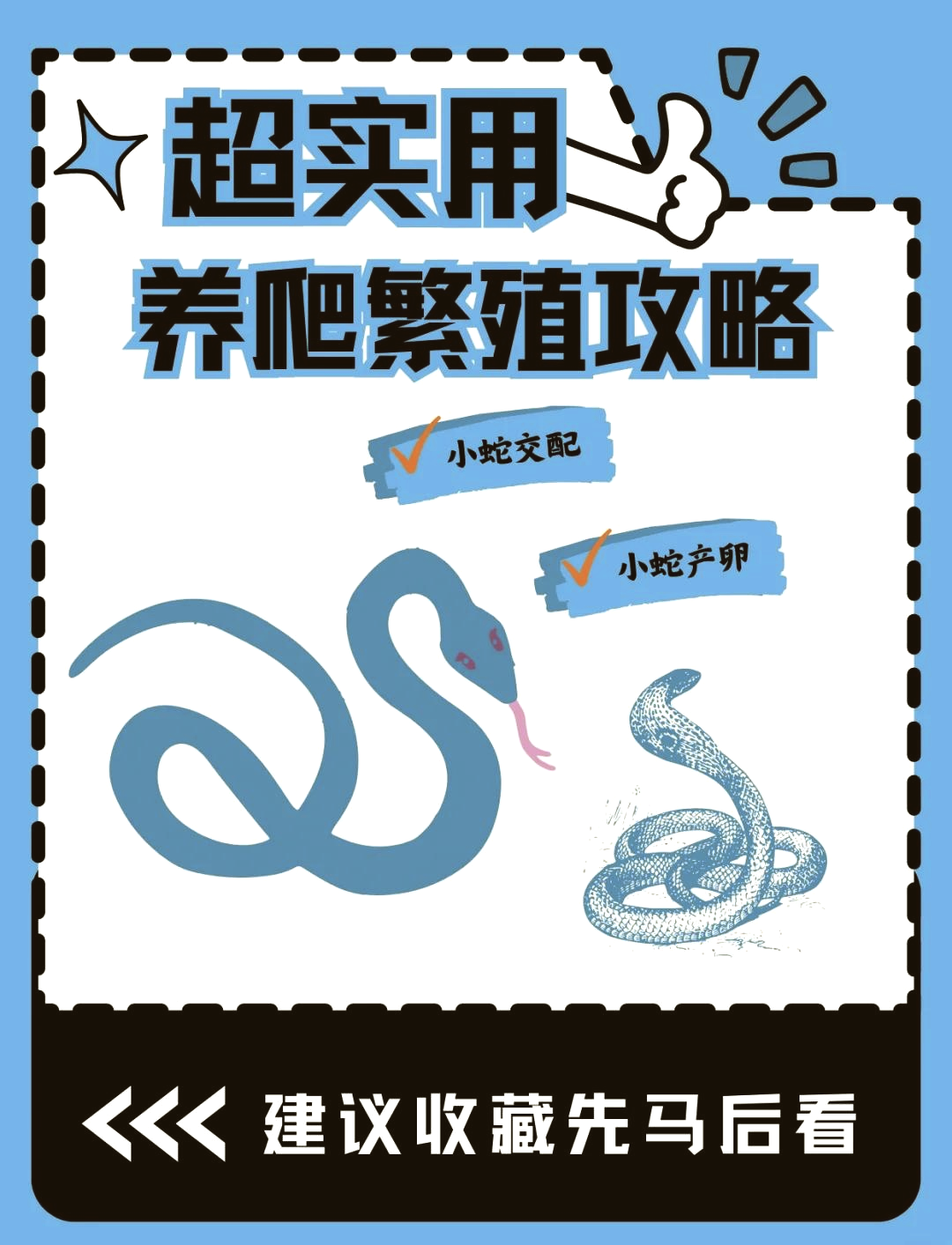 解梦两条蛇 解梦两条蛇打架