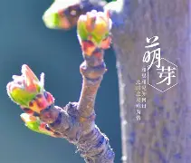 解梦周公解梦大全梦见死人 周公解梦梦见已故人是什么意思