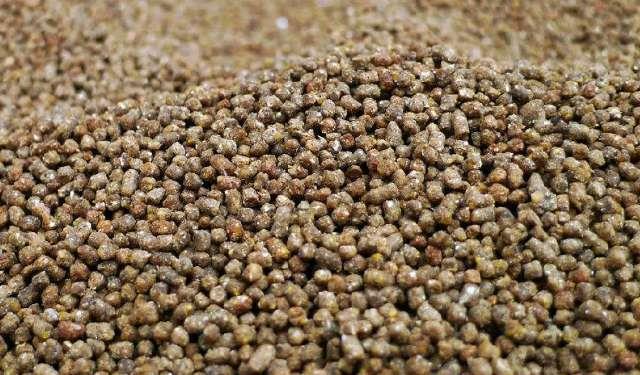 梦见米周公解梦 男人梦见大米要发财吗 梦见米周公解梦 男人梦见大米要发财吗