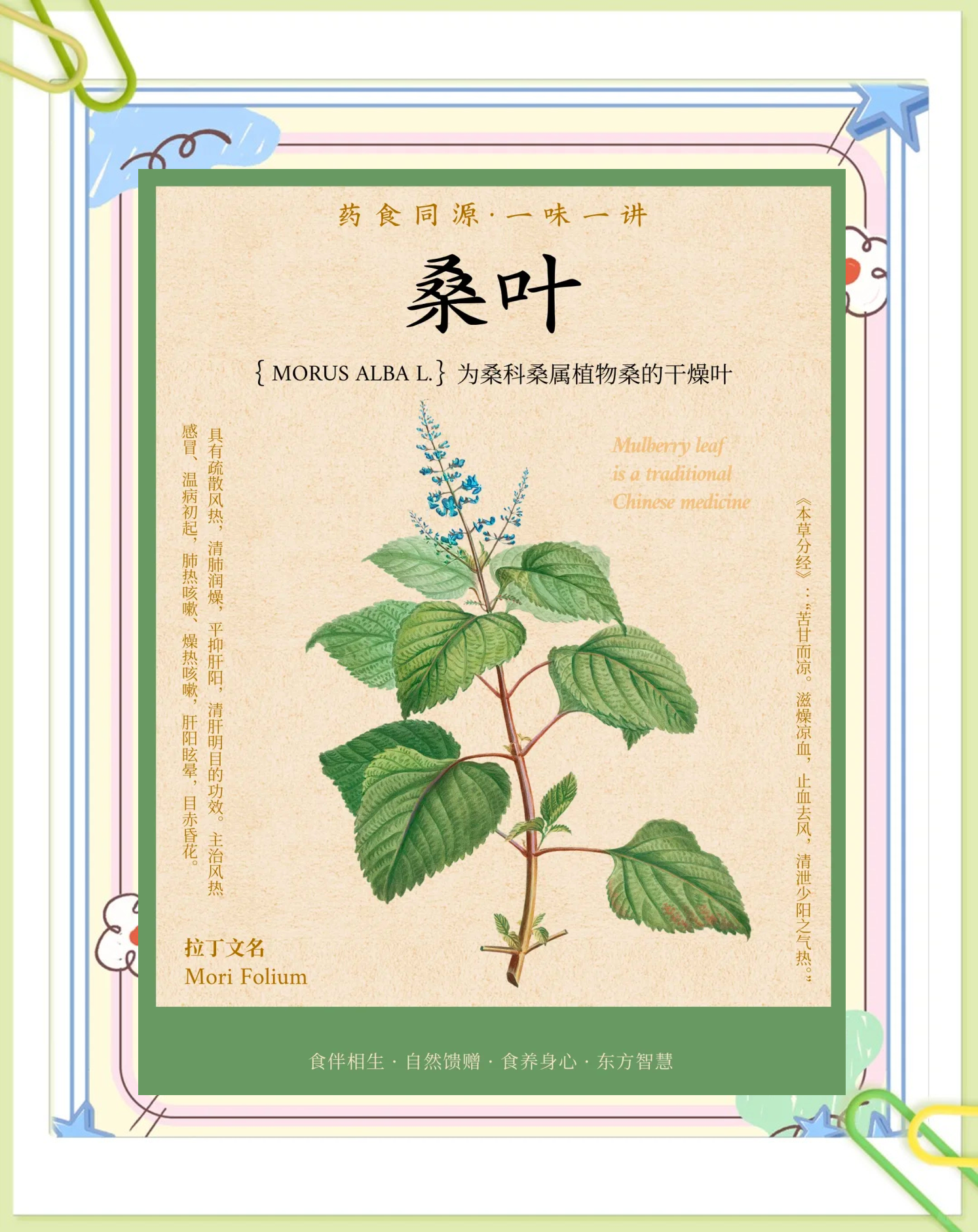 周公解梦树叶 2345原版周公解梦完整版 周公解梦树叶 2345原版周公解梦完整版