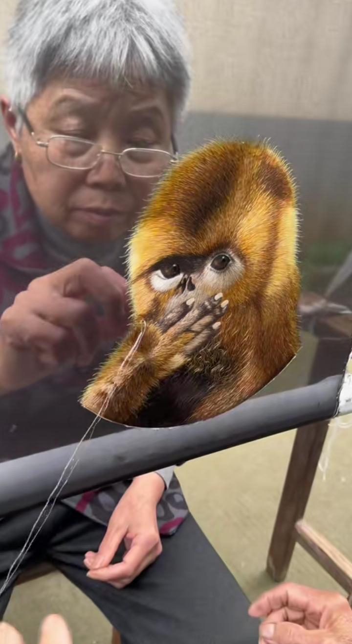 动物算命 十二生肖算命