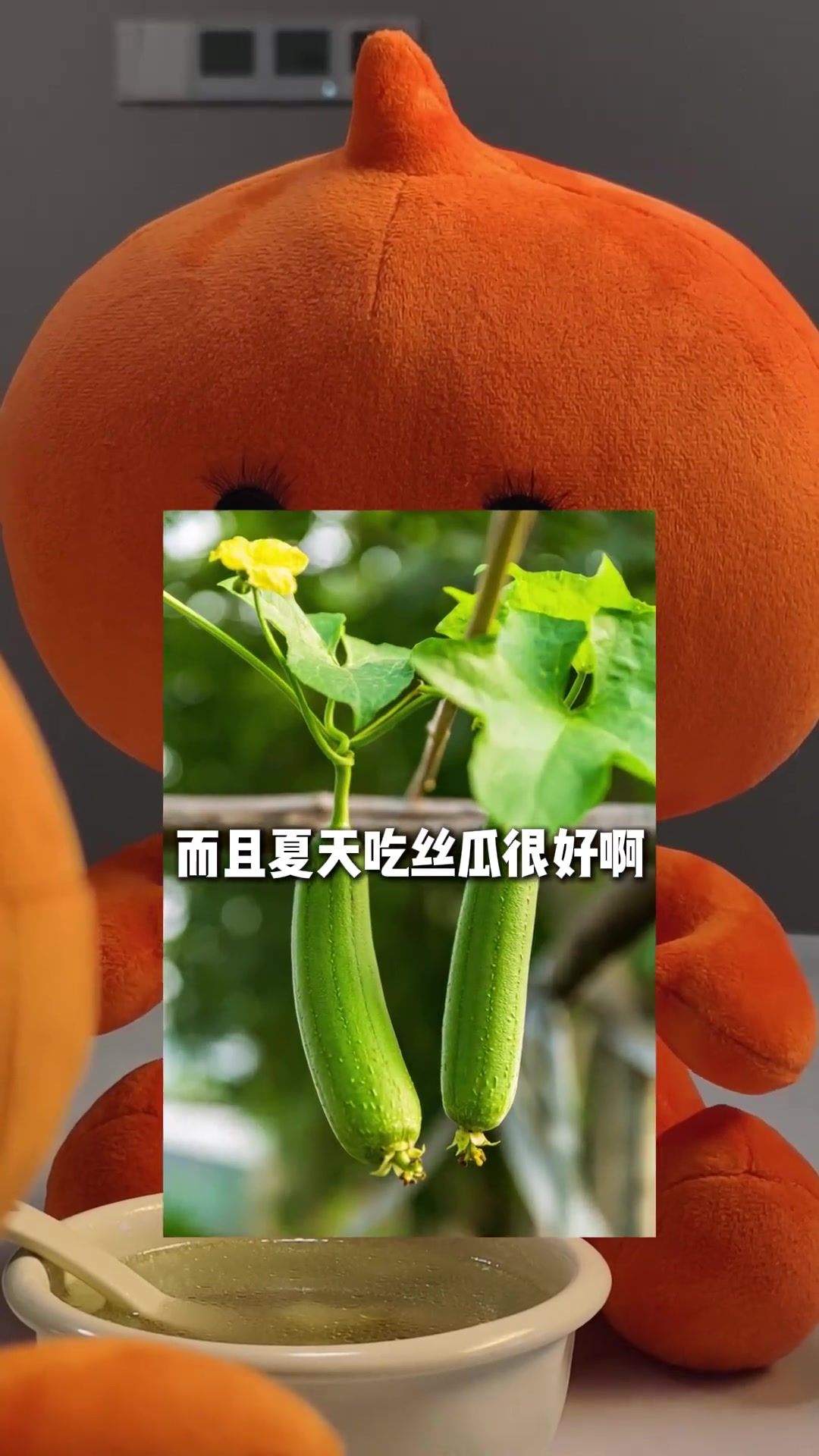 周公解梦丝瓜 已婚女人梦见丝瓜暗示 周公解梦丝瓜 已婚女人梦见丝瓜暗示