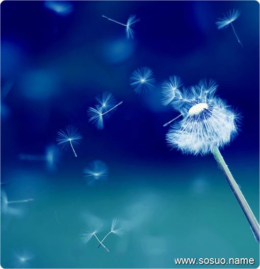 周公解梦风筝 梦见风筝是仙家在暗示什么