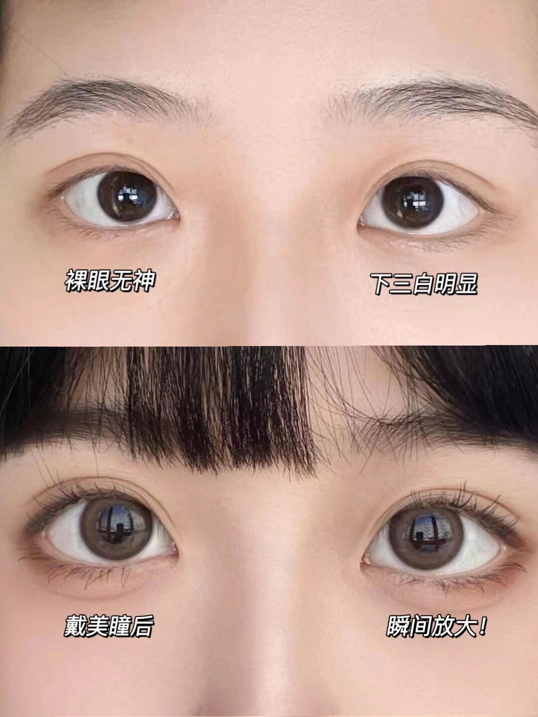 白眼球大黑眼球小 白眼球大黑眼球小的区别 白眼球大黑眼球小 白眼球大黑眼球小的区别