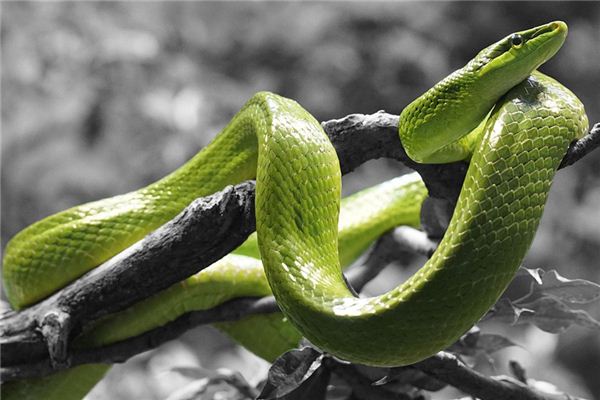 免费周公解梦2345官网 2345免费查询梦2345官网 免费周公解梦2345官网 2345免费查询梦2345官网