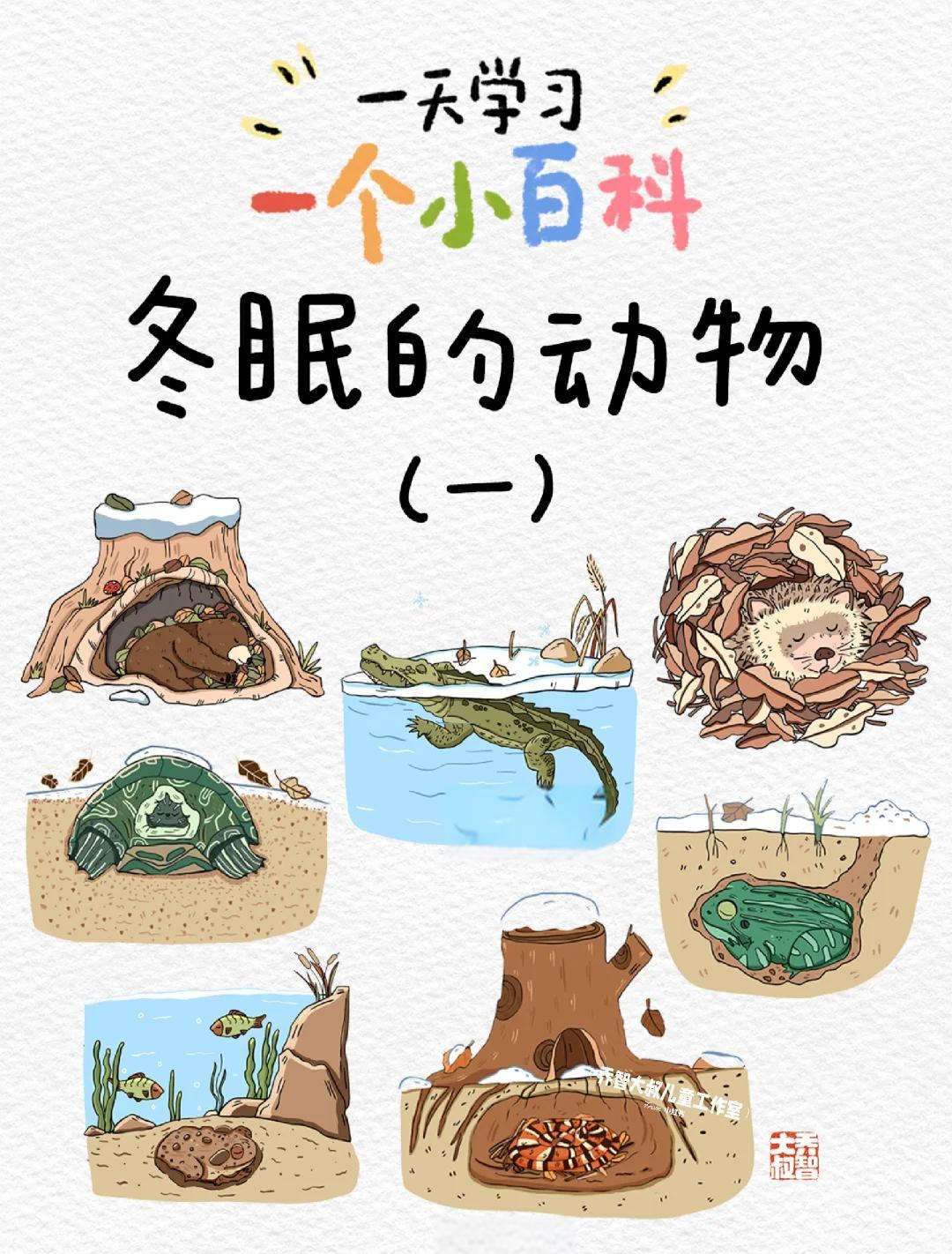 周公解梦动物类 周公解梦和动物对话 周公解梦动物类 周公解梦和动物对话