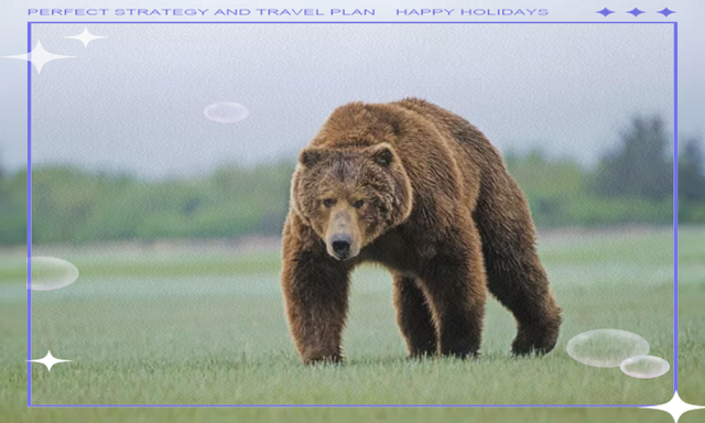 周公解梦动物类 周公解梦和动物对话 周公解梦动物类 周公解梦和动物对话