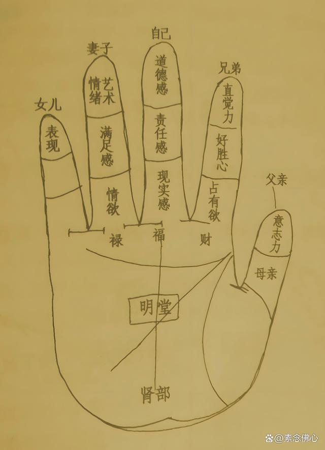 麻衣神相免费算命 麻衣相法100例图解