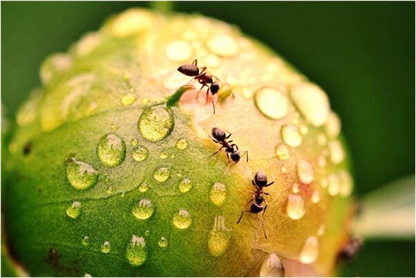 包含梦到上学是什么意思周公解梦的词条 包含梦到上学是什么意思周公解梦的词条