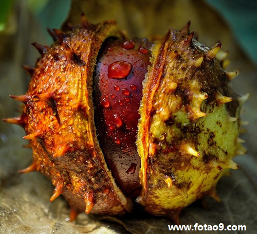 周公解梦婴儿 梦到婴儿是什么意思周公解梦 周公解梦婴儿 梦到婴儿是什么意思周公解梦