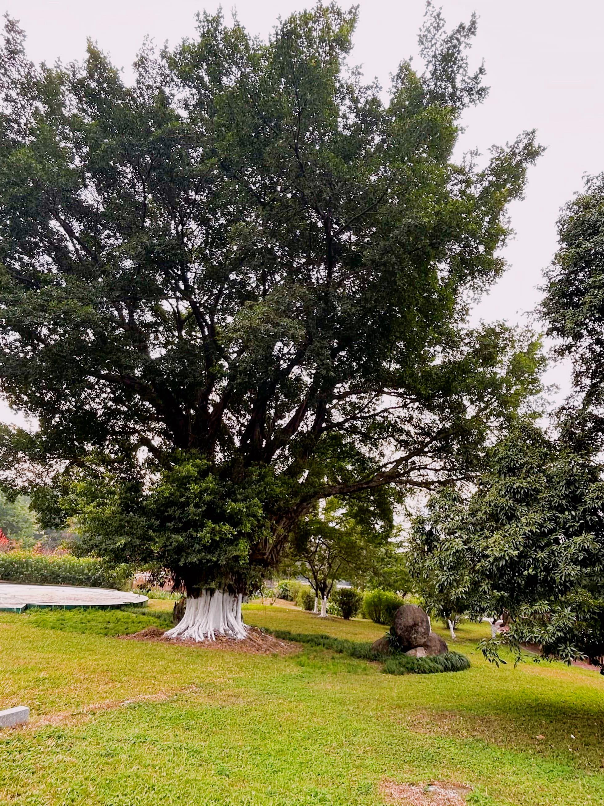 丹水坑算命 三斗坪陈瞎子算命 丹水坑算命 三斗坪陈瞎子算命
