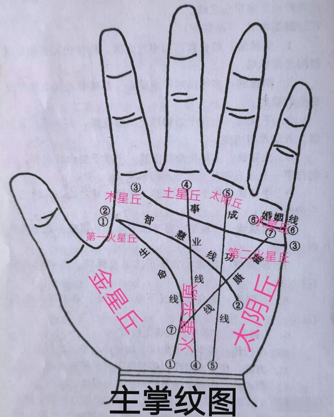 手相算命扫一扫 上等旺夫的女人手相