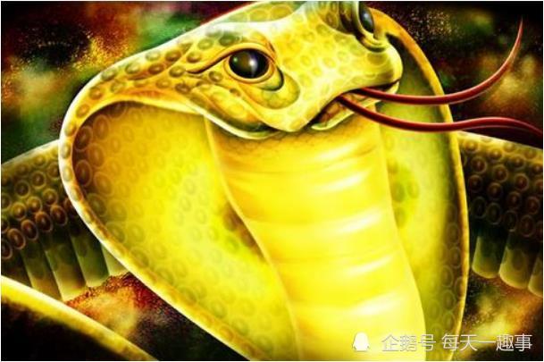 周公解梦梦见5 梦见5的七大预兆 周公解梦梦见5 梦见5的七大预兆