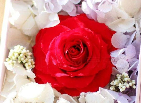 周公解梦梦见5 梦见5的七大预兆 周公解梦梦见5 梦见5的七大预兆