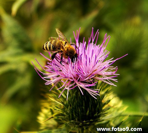 解梦梦见开门 梦见打开门是什么意思
