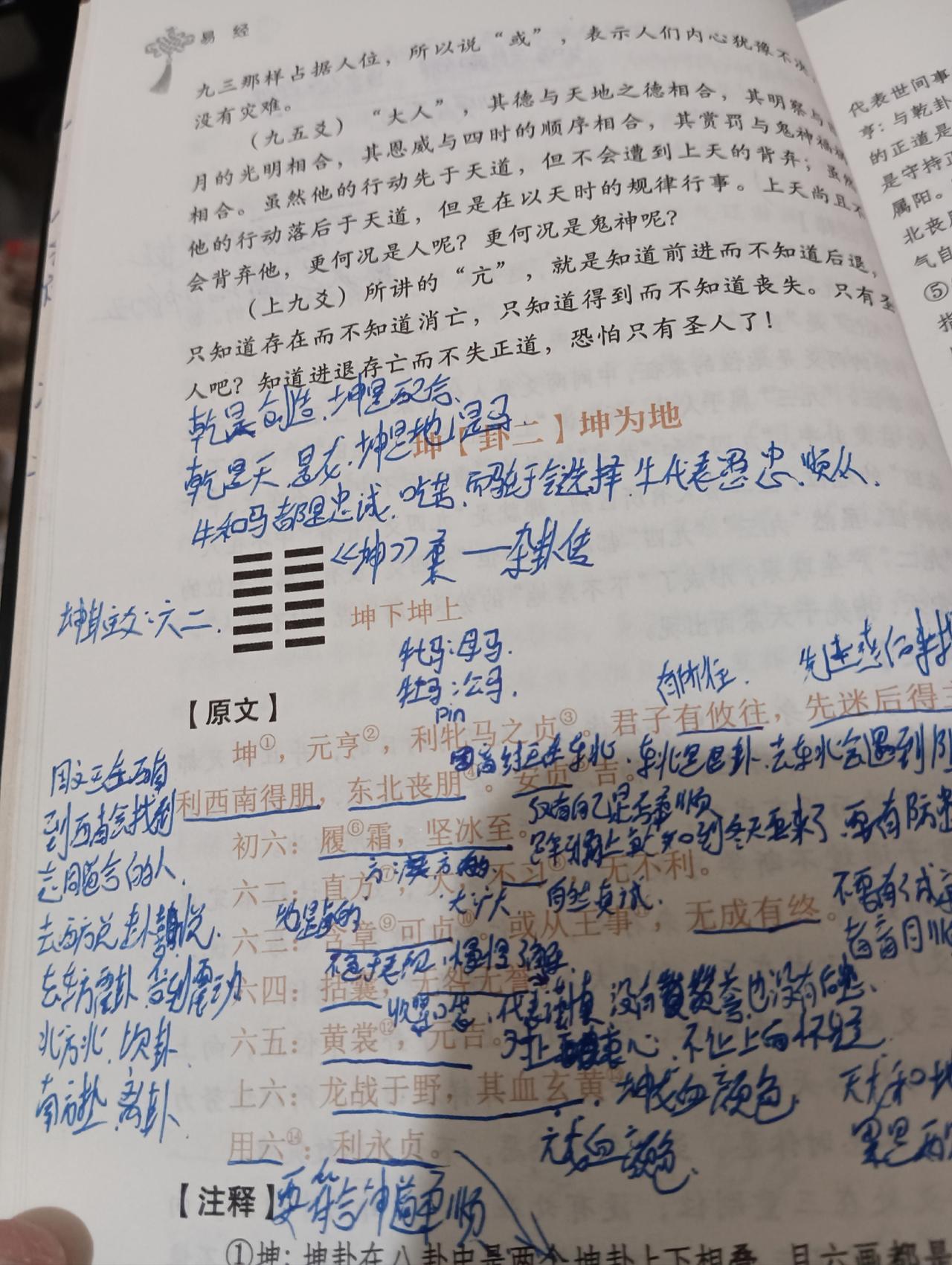 履霜坚冰至在算命里是什么意思 履霜坚冰至啥意思可以得到什么启示 履霜坚冰至在算命里是什么意思 履霜坚冰至啥意思可以得到什么启示