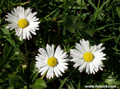 周公解梦怎么查询奖码 解梦周公解梦大全查询解梦