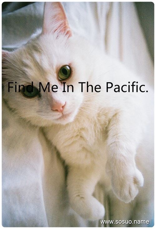 周公解梦梦见笑 周公解梦梦见尸体是什么预兆