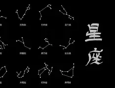 118星座 118型和118插座区别图片