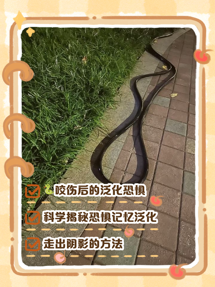 周公解梦蛇咬自己 梦见被蛇咬怀孕几率大吗 周公解梦蛇咬自己 梦见被蛇咬怀孕几率大吗