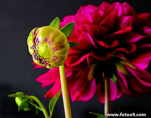 梦见遇到 梦见遇到鬼梦里很害怕