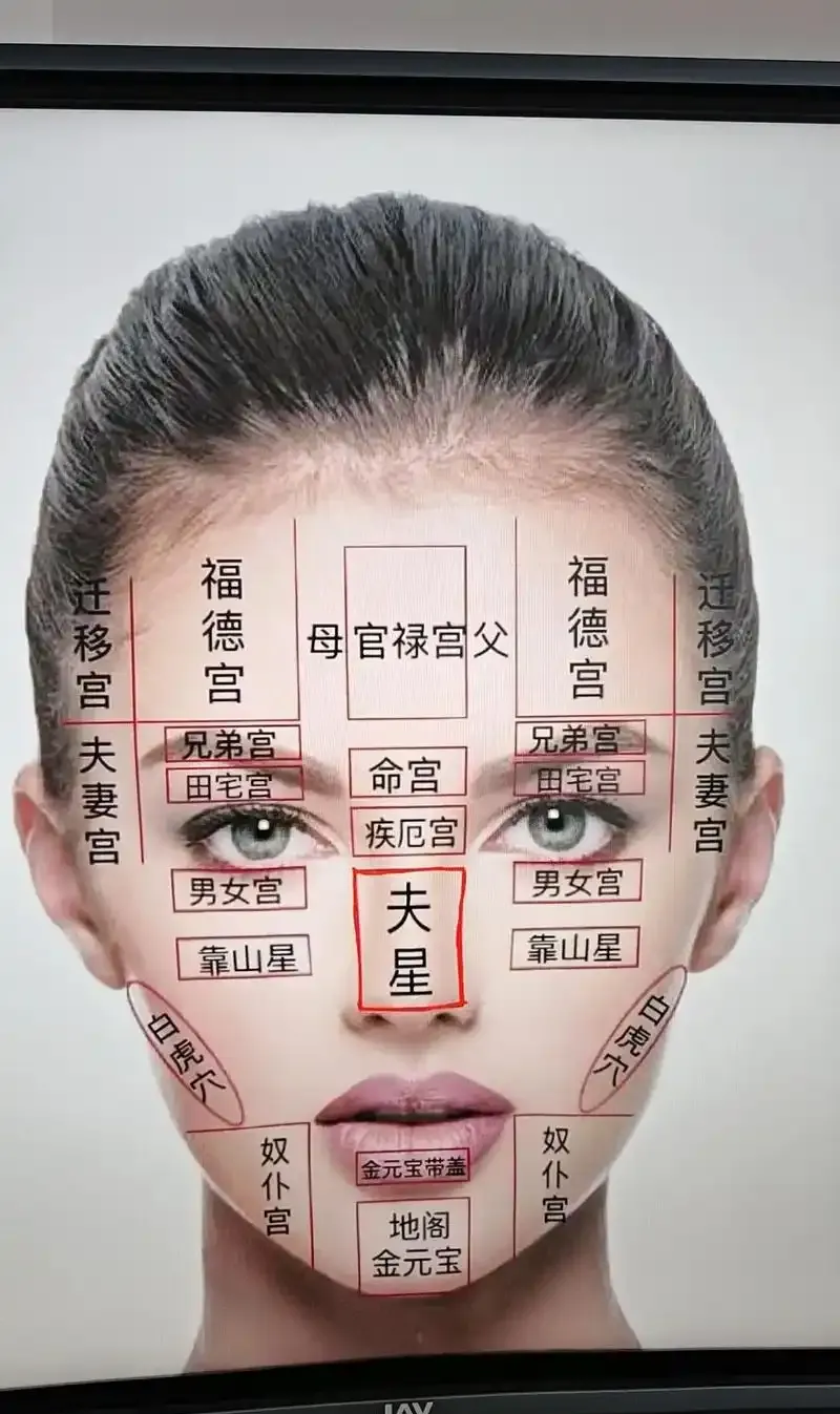 扫一扫测脸算命 扫一扫测脸型配发型小程序入口官方 扫一扫测脸算命 扫一扫测脸型配发型小程序入口官方