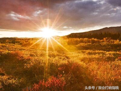 周公解梦太阳升起 梦见日出升起的太阳