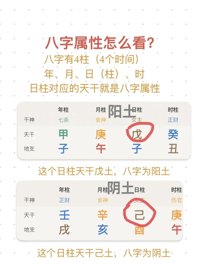 八字算命免费算 八字算命免费算命 八字算命免费算 八字算命免费算命