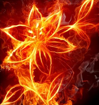 梦见火周公解梦 周公解梦梦见火烧房子 梦见火周公解梦 周公解梦梦见火烧房子