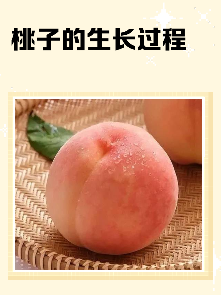 周公解梦从树上摘桃子 做梦在树上摘桃子是什么意思