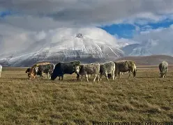 周公解梦背死人是什么意思 梦到背过世的人,意味着什么