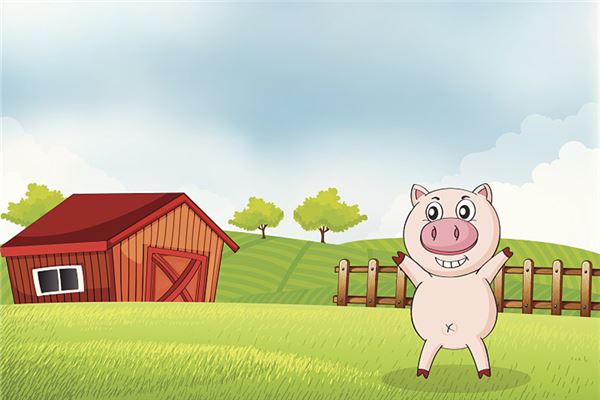 被猪咬周公解梦 做梦梦到被猪咬了一口