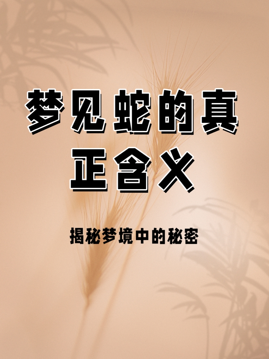 能到床上有蛇周公解梦 女人梦见蛇是什么预兆周公解梦
